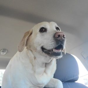 Meet your Posher, Phyllis